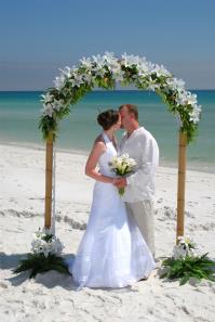 Our Original Starfish and Seashell Wedding Arch