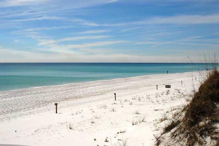 Beach Weddings at Henderson State Park
